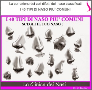 SFOTO SITO 40 tipi di naso